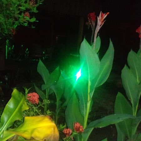 Pousada Luar De Monte Cristo Araripe de Baixo Ngoại thất bức ảnh
